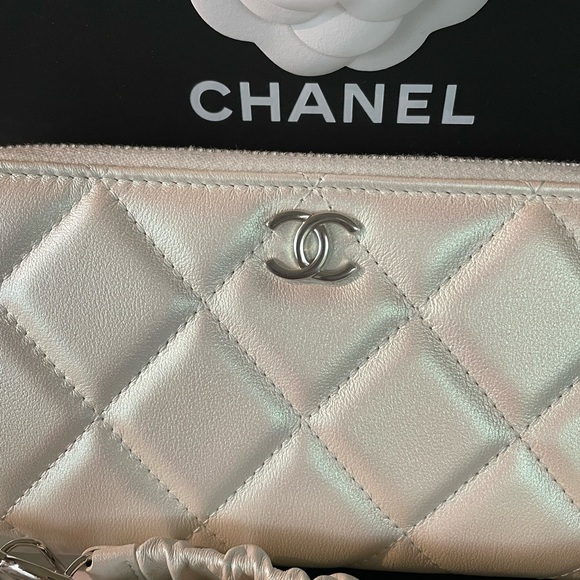 SOLD. NEW Chanel Bumbag Belt bag  Coco Neige Runway Limited Edition Iridescent - Picture 2 of 16